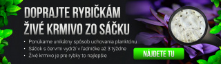 Živé krmivo