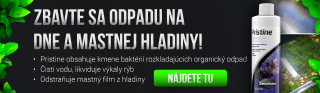 Seachem Pristine