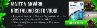 Seachem Purigen